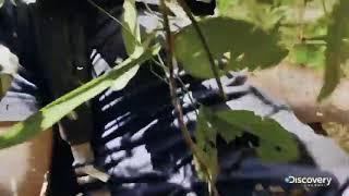 Выживание Эд Стаффорд