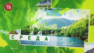 «Среда»: Виноград . 02.09.2020