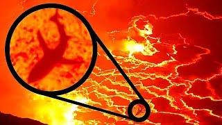 Учёные Обнаружили Невероятных Существ, Которые Живут Внутри Вулкана