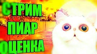 Stream # 9 | бесплатная оценка каналов | и просто общение