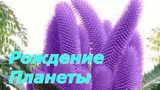 Георгий Шлифер "Рождение Планеты"