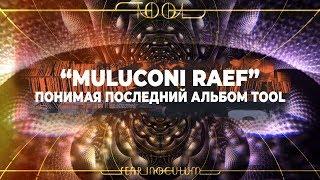 MULUCONI RAEF | Понимая последний альбом Tool | FEAR INOCULUM