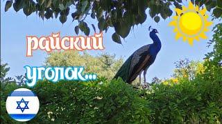 Израиль...                                Дивная красота Израиля!