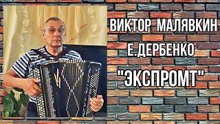 Е.Дербенко  "Веселая муха проснулась от спячки"/Impromptu "Merry Fly" Играет Виктор Малявкин (баян)