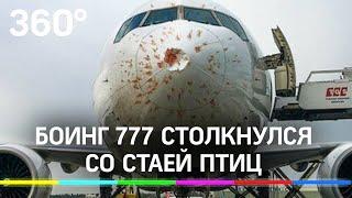 Боинг 777 столкнулся со стаей птиц. Кадры самолета после посадки