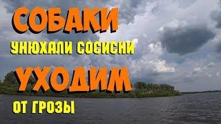 ВЛОГ: Пикник / Собаки унюхали сосиски / Уходим от грозы