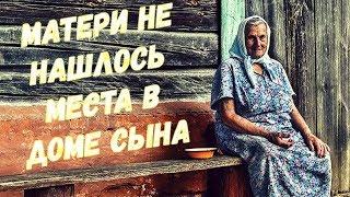 Пожилой матери не нашлось места в доме сына, свободную комнату занял элитный чау-чау...