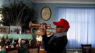 Клипхох Тут и Там