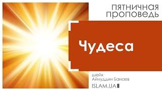 Доказательства правдивости. Проповедь шейха Айнуддина Банаева
