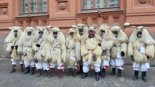 Москва. Масленица 2020. Профсоюз