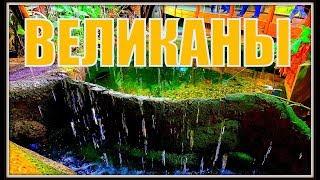 Крокодилы, паку и сомы. Зоопарк Рига
