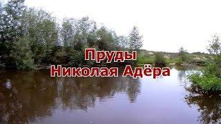 Пруды в д. Верхняя Кумашка
