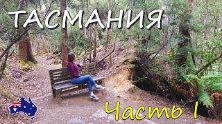 ТАСМАНИЯ САМЫЕ КРАСИВЫЕ МЕСТА - что посмотреть