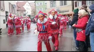праздник дурачества Штутгарт. 19 января 2020 Narrentreffen BAD CANNSTATT