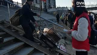 2021 05 01 Открытие навигации видео