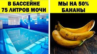 Факты, которые вы предпочтёте не знать