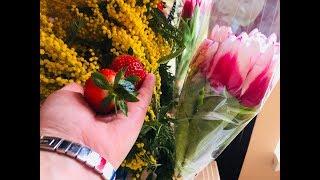 Vlog ЕЙСК В МАРТЕ! ОДНИ В ГОРОДЕ!