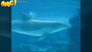 удивительные места на земле!!!