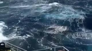 Ледянящие воды океана
