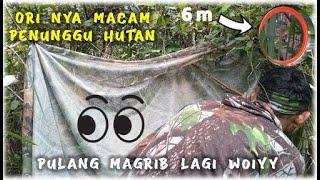 Petualang Mikat Ayam Hutan #4 Dikerjain Ayam Sampai Magrib