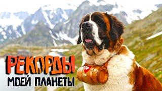 Топ огромных собак мира. Удивительные города на скалах. Рекорды Моей Планеты с Андреем Понкратовым