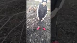 Дикари в деревне
