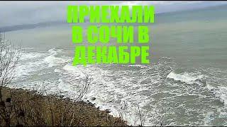 ПРИЕХАЛИ в СОЧИ в ДЕКАБРЕ
