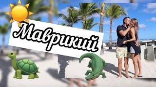 МАВРИКИЙ | черепахи | крокодилы | водопады