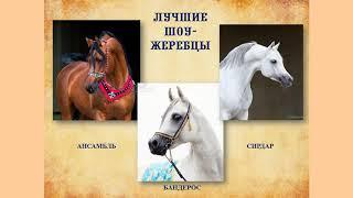 Удивительные места и люди земли Минераловодской