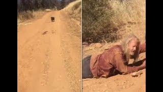 Водитель встретил собаку на дороге, она отказалась от еды и воды и не сдвинулась с места