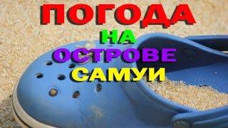 ТАИЛАНД|ОСТРОВ САМУИ/ПРО ПОГОДУ