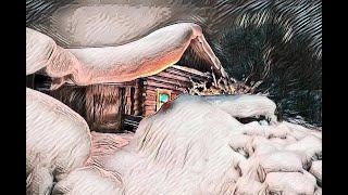 Странная встреча.  Удивительный рассказ водителя