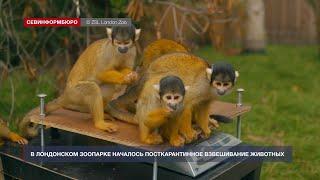 «Хорошие новости» от 2 сентября 2020 года