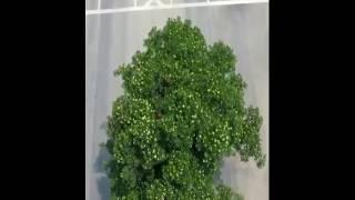 Удивительные и чудесные места со всего мира