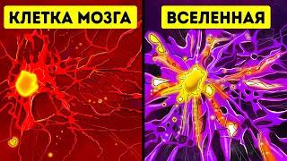 Удивительное сходство между строением мозга и Вселенной, + еще 47 удивительных фактов о космосе!
