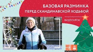Базовая разминка перед скандинавской ходьбой | Новогодний видеоурок