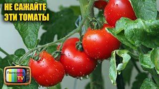 Больше никогда не буду выращивать эти томаты, они кислые и невкусные
