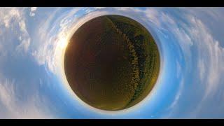 VR 360 | ЗАПОВЕДИЯ | Васюганский природный заповедник