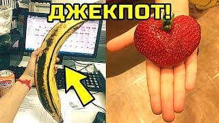 55 Случаев Самого Невероятного Везения в Еде
