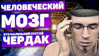 Как устроена ПАМЯТЬ в твоей ГОЛОВЕ