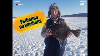 Рыбалка на камбалу //впервые на зимней рыбалке // речка Тумнин, Монгохто