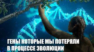 Гены которые мы ПОТЕРЯЛИ в процессе эволюции