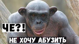 ЧТО ЗНАЧИТ АБУЗИТЬ В ИГРАХ.