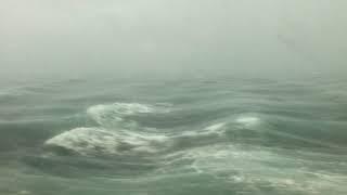 MSC Opera Sailing into the Storm