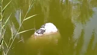 Наблюдая природу - Мать нашу