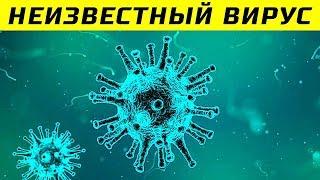 Учёные Разбудили Неизвестный Науке Вирус