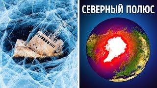Почему невозможно выжить на Северном полюсе?