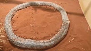 15 УДИВИТЕЛЬНЫХ ФЕНОМЕНОВ СНЯТЫХ НА КАМЕРУ