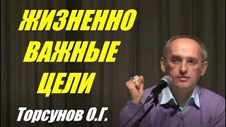 Жизненно важные цели. Торсунов О.Г.