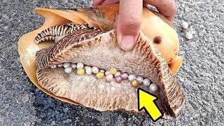 10 Самых Невероятных Сокровищ Найденных на Пляже